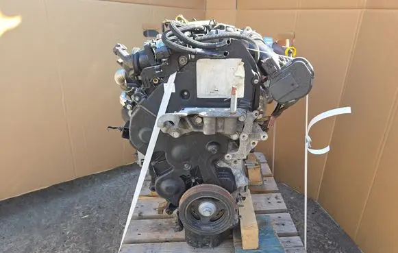 Ford Focus Engine swap T3DB