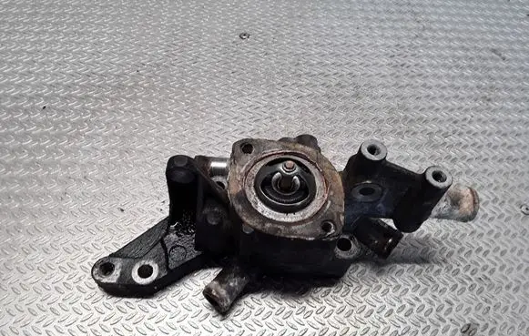 Thermostat/thermostat housing