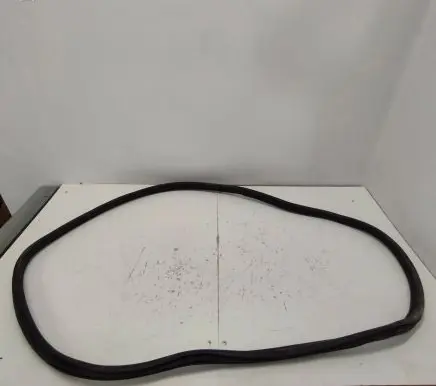 BMW i4 Rubber seal front coupe door 7482945
