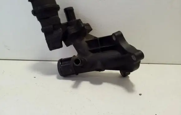 Thermostat/thermostat housing