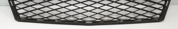 Mercedes-Benz A W169 Front bumper lower grill A1698850224