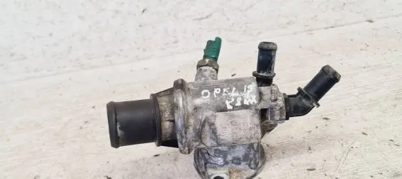 Thermostat/thermostat housing