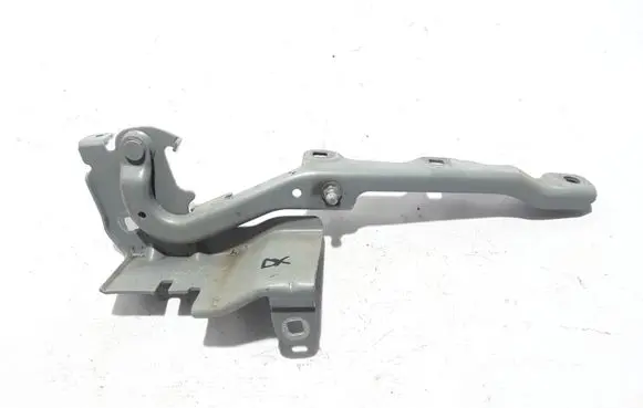 Renault Latitude (L70) Engine bonnet/hood hinges 654000010R
