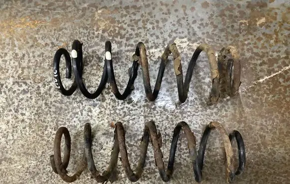 Honda Civic Rear coil spring