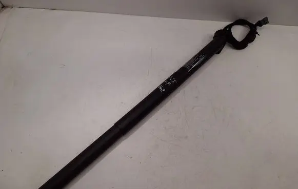 BMW X3 F25 Tailgate/trunk strut/damper 7232003 51247232003