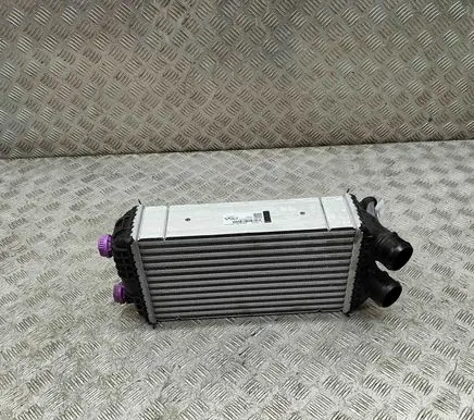 Peugeot 2008 II Intercooler radiator 9825341380