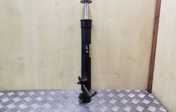 BMW X5 E70 Rear shock absorber/damper 33526780492