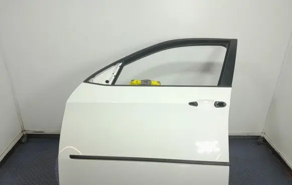 BMW X5 E70 Front door