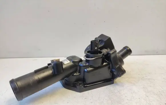 Thermostat/thermostat housing