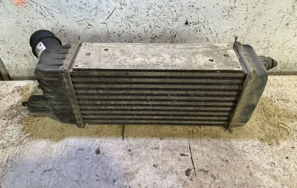 Peugeot Expert Intercooler radiator E5531 20070627 000043335