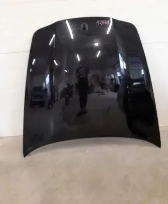 Porsche Panamera (970) Engine bonnet/hood