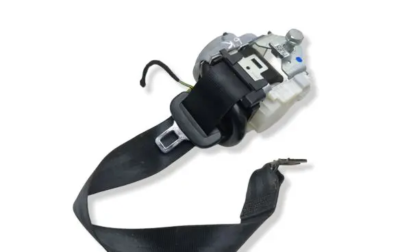 Audi Q5 SQ5 Rear seatbelt P342082786