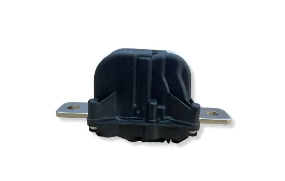 Tesla Model 3 Fuse 109515400C