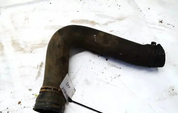 Seat Alhambra (Mk1) Engine coolant pipe/hose
