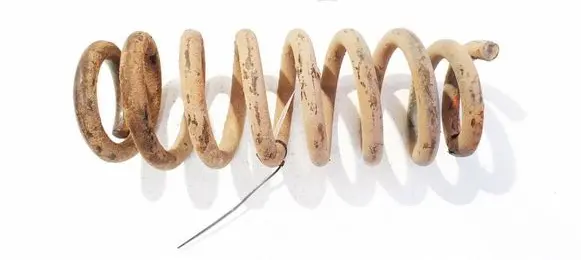 Rear coil spring