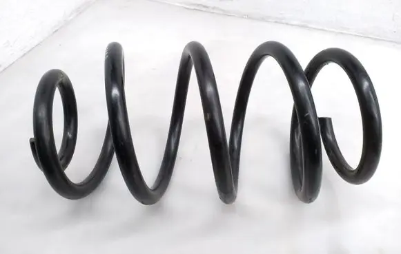 Rear coil spring