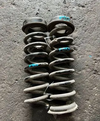 Rear coil spring
