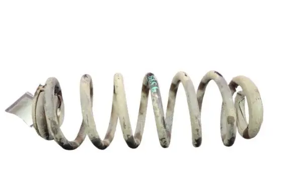 Rear coil spring