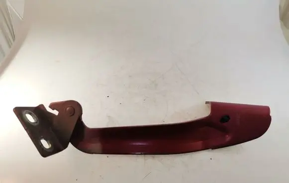 Renault Kangoo II Engine bonnet/hood hinges 386304H
