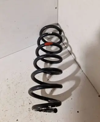 Rear coil spring