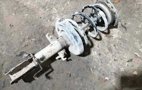 Renault Scenic III - Grand scenic III Front shock absorber with coil spring 543020017R