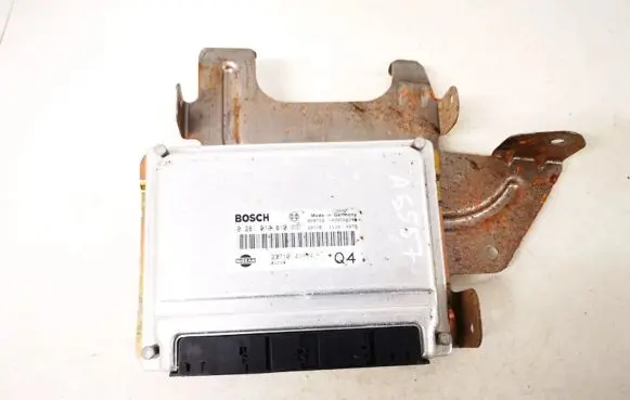 Nissan Almera Tino Engine control unit/module 237104u114 0281010810
