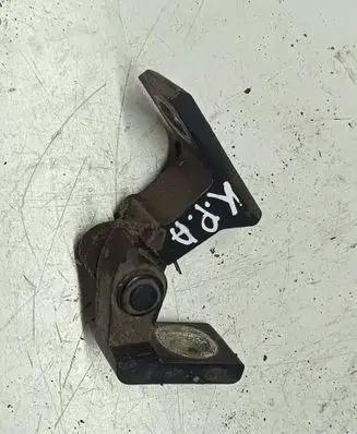 Volkswagen Tiguan Front door lower hinge
