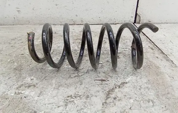 Front coil spring