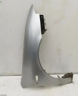 Seat Toledo II (1M) Fender