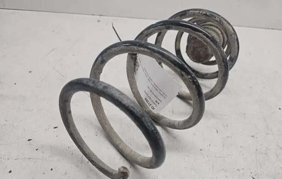 Opel Astra H Rear coil spring 1234