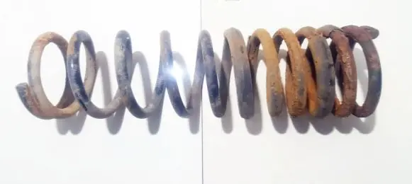Ford Focus Rear coil spring