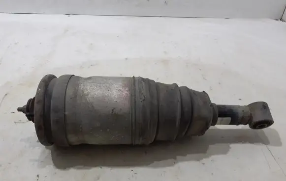Rear shock absorber/damper
