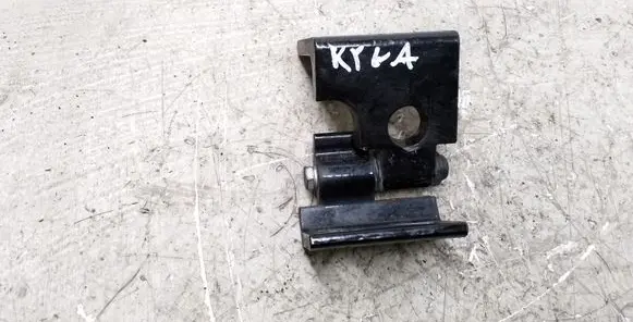 BMW X5 E53 Rear door lower hinge