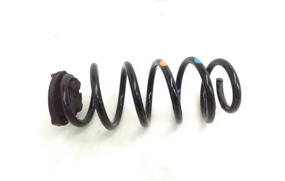 Rear coil spring