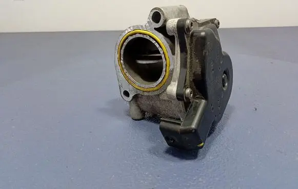 Chevrolet Express Throttle body valve 161A01874R