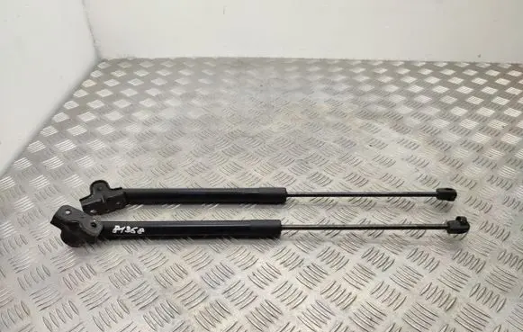 Ford B-MAX Tailgate/trunk strut/damper AV11R406A10AB