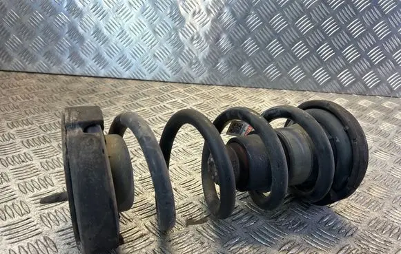 Rear coil spring
