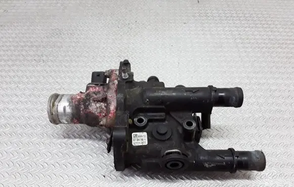 Thermostat/thermostat housing