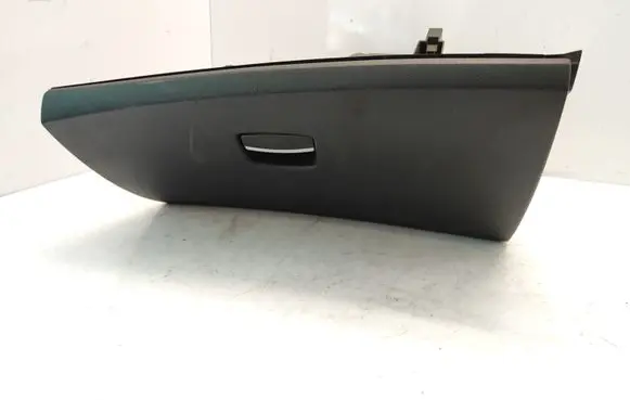 Renault Laguna III Glove box 685000001R