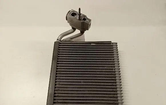 Opel Antara Heater blower radiator 315837C10