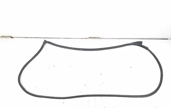 Jeep Compass Front door rubber seal