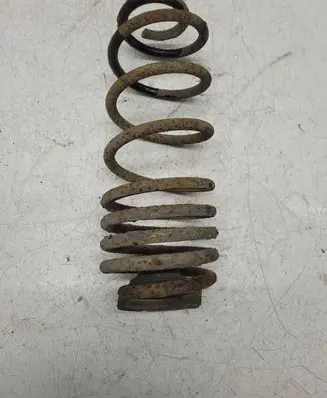 Seat Leon (1M) Rear coil spring
