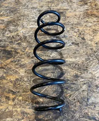 Rear coil spring