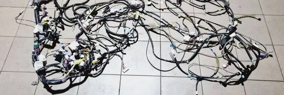 Toyota RAV 4 (XA30) Right interior wiring harness 8241242020C 216142G60H