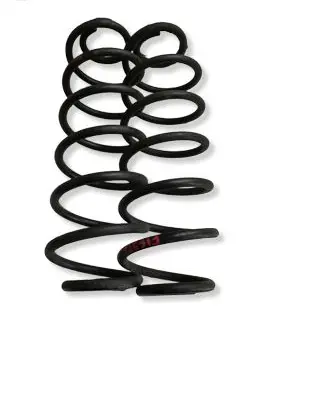 Ford Fiesta Rear coil spring 3113