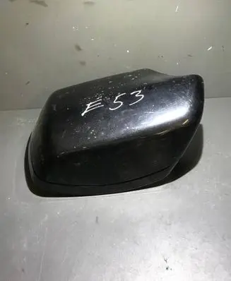 BMW X5 E53 Front door wing mirror part 710747