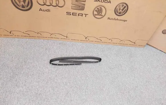 Audi Q3 8U Front door rubber seal 8U0839119