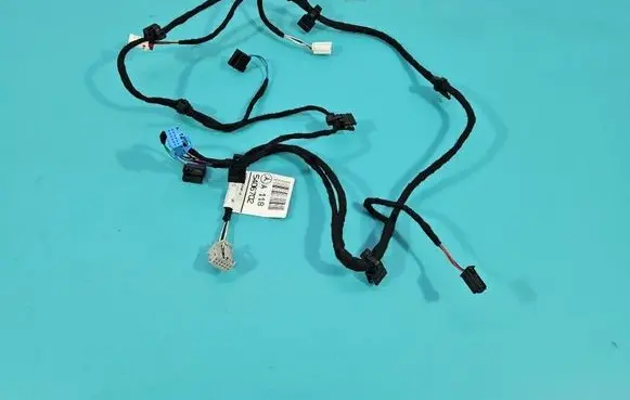 Front door wiring loom