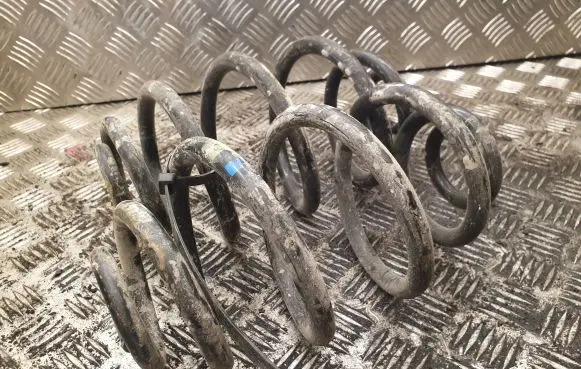 Volkswagen PASSAT B5 Rear coil spring
