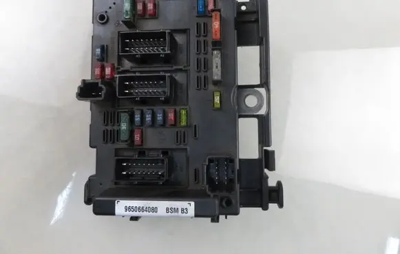 Peugeot 307 BSM Control unit 9650664080